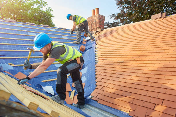 Best Roof Waterproofing  in Sachse, TX